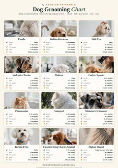 Dog Grooming Planner | Free Grooming Calculator by Breed